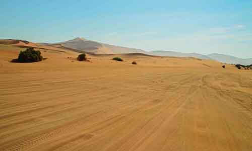 Namib Desert Tours