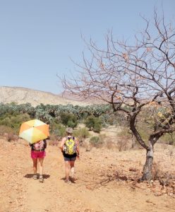 Kunene Camino Umbrella