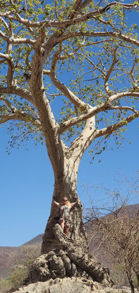 The Kunene Camino
