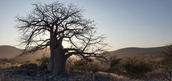 Kunene Camino