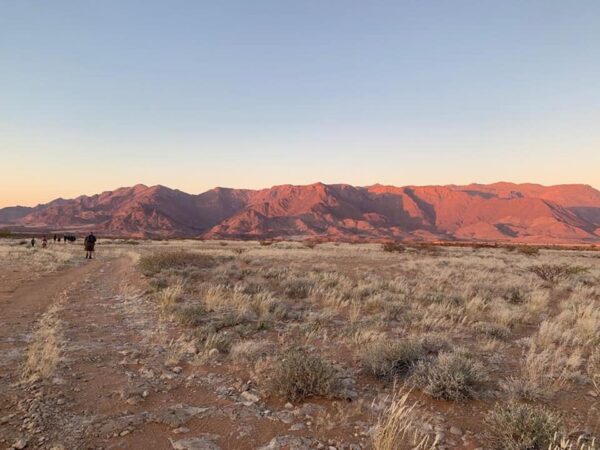 Damaraland Camino Namibia187324054_1410917195948316_2373853879868686611_n