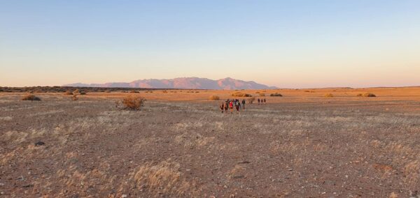 Damaraland Camino Namibia187655447_1410909715949064_270144089915243289_n
