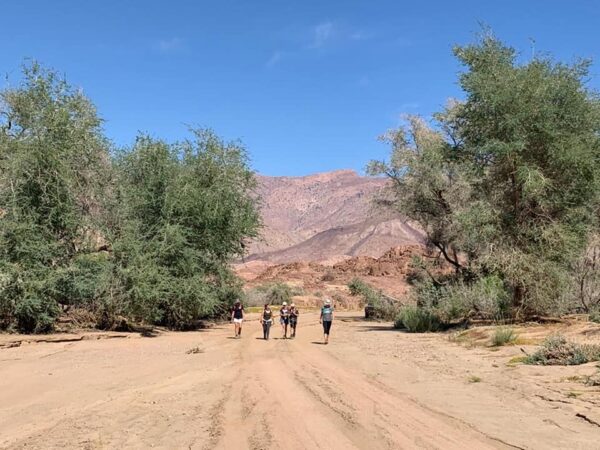 Damaraland Camino Namibia187699579_1410917452614957_5012440440294890700_n