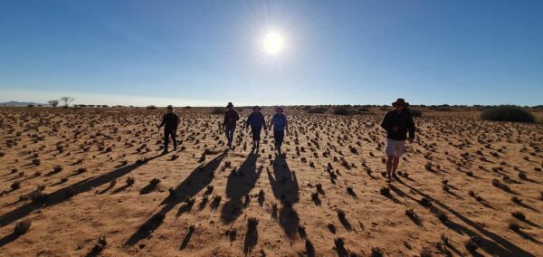 Damaraland Camino Namibia238346436_1475498982823470_8021401297040311899_n
