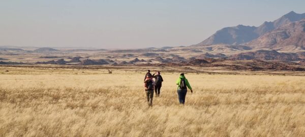 Damaraland Camino Namibia471279911_916385350611840_6523692004164170193_n