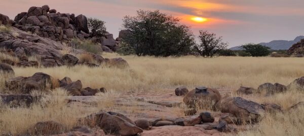Damaraland Camino Namibia471642729_916395677277474_2878982108431003571_n