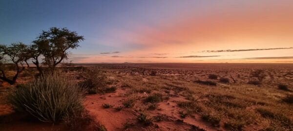 Damaraland Camino Namibia474966307_2372494243123935_7818014700184729245_n