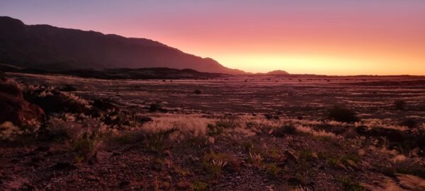 Damaraland Camino Namibia475203074_2372494066457286_4247246598660331265_n