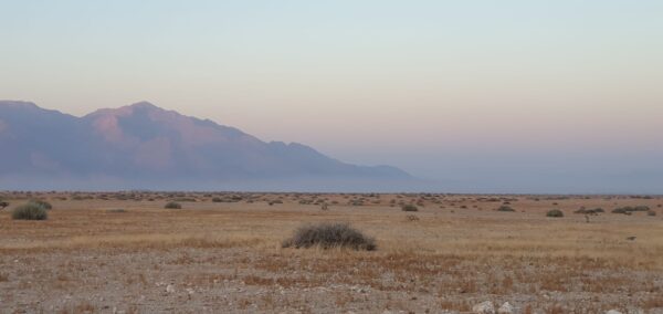 Damaraland Camino Namibia480785389_954427766807598_4719806108504638477_n