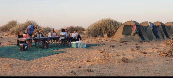 Damaraland Camino Namibia480825906_954427940140914_8492985999171386260_n