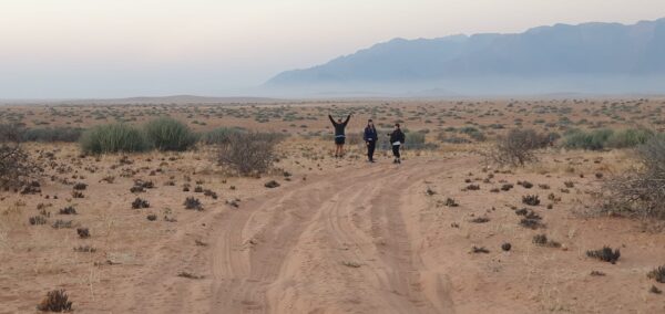 Damaraland Camino Namibia481119692_954427680140940_6920960004334500152_n
