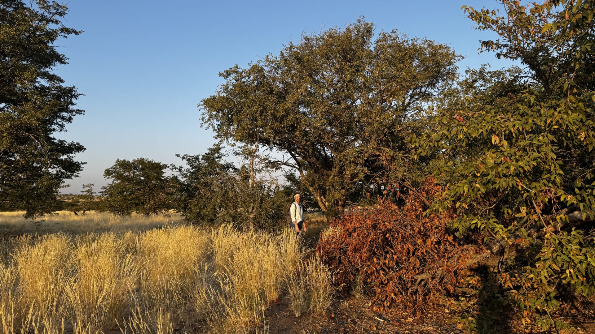 Damaraland Camino Namibia
