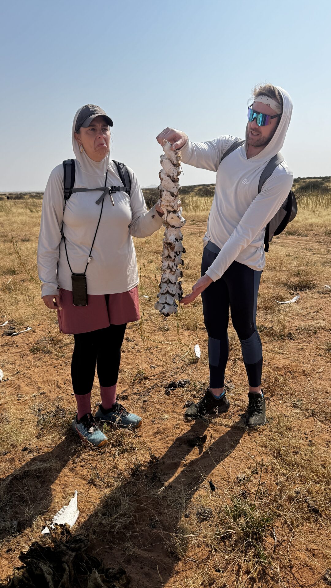 Damaraland Camino Namibia