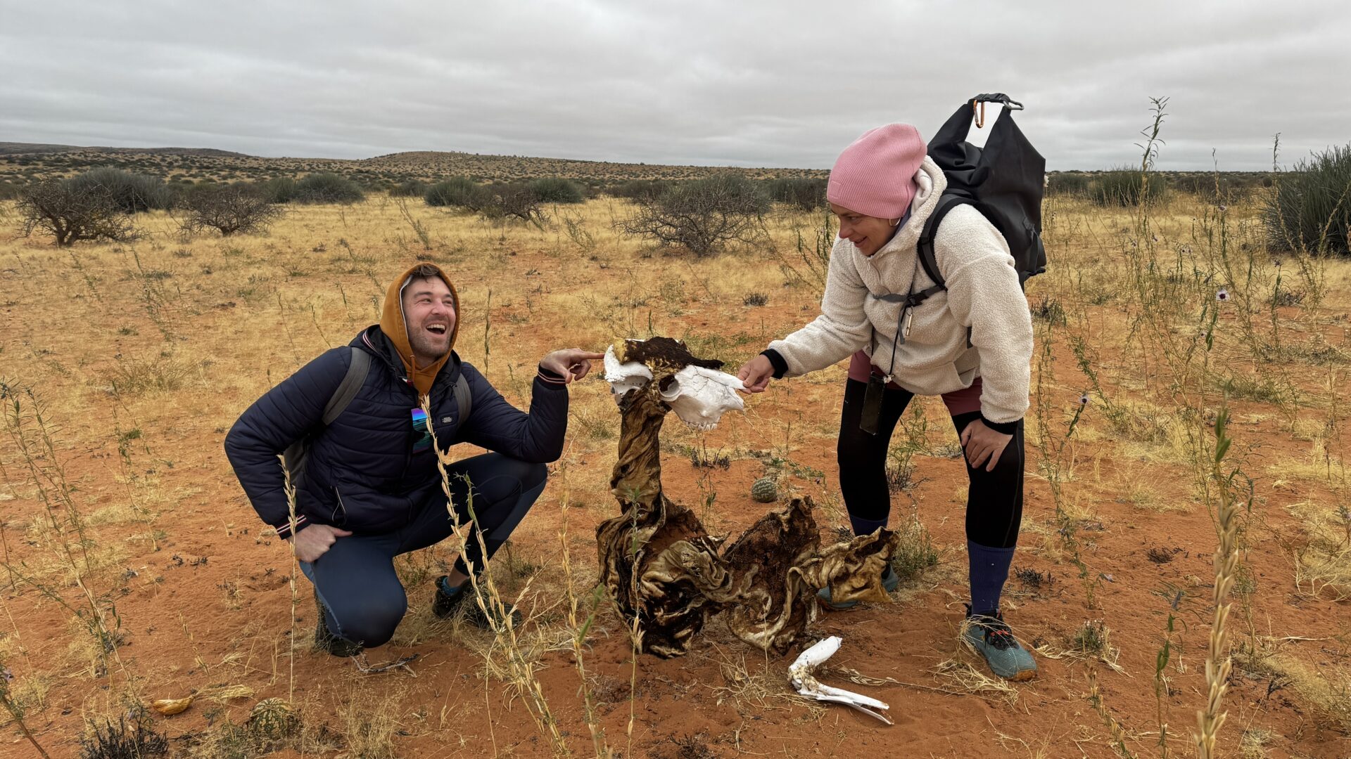 Damaraland Camino Namibia