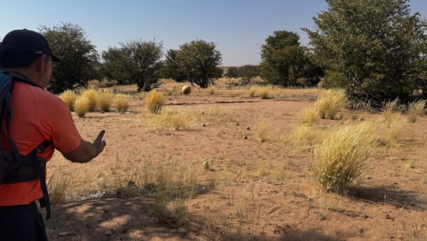 Damaraland Namibia Camino