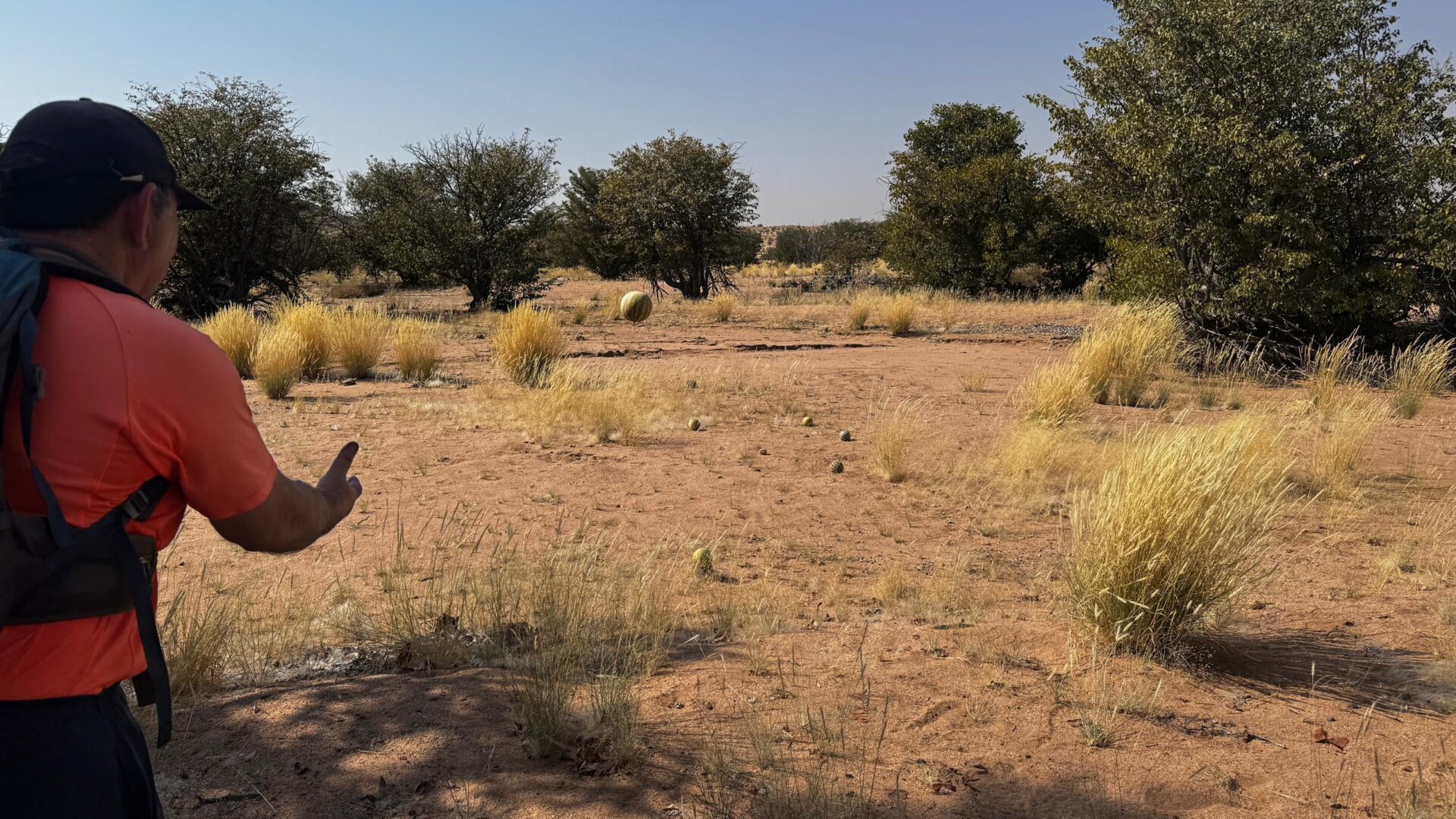 Damaraland Namibia Camino